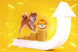 SHI:一文了解 Shiba Inu 价格和交易量飙升的三大原因